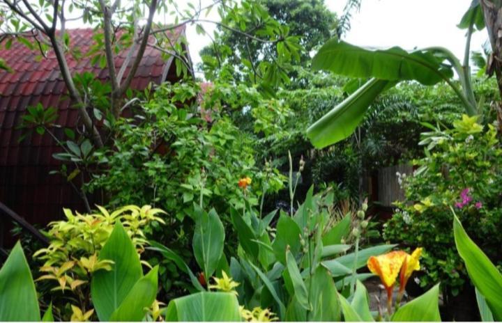 Banana Leaf Bungalow Gili Trawangan Eksteriør bilde